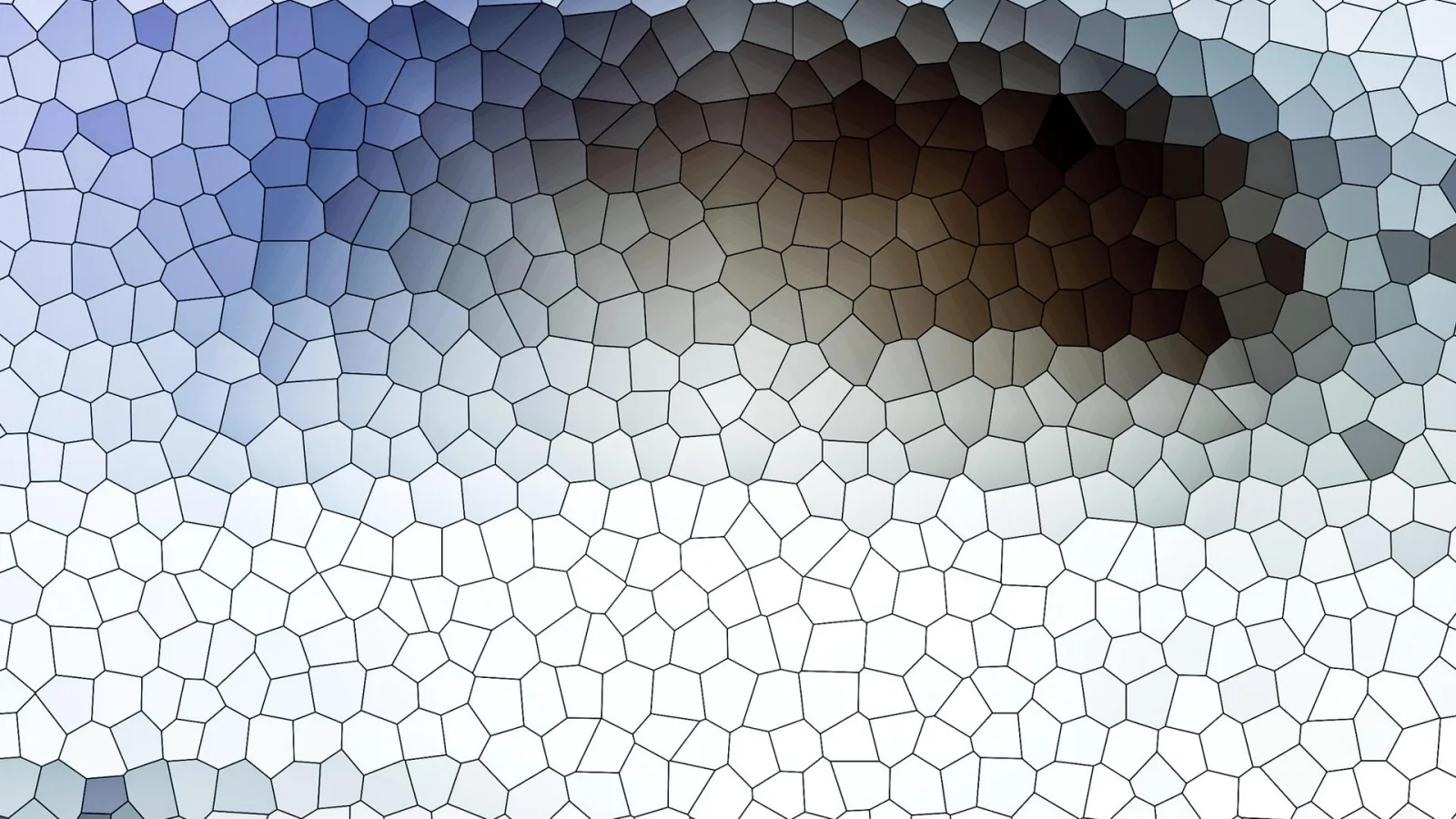 Unregelmäßiges Mosaik aus kleinen Zellen, links blaugrau, oben in der Mitte braun, unten hell.