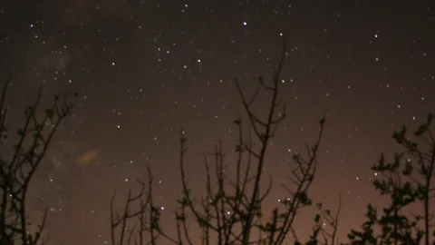 Nachthimmel voller Sterne, im unteren Bereich silhouettierte kahle Zweige und Sträucher vor bräunlichem Himmelsleuchten.