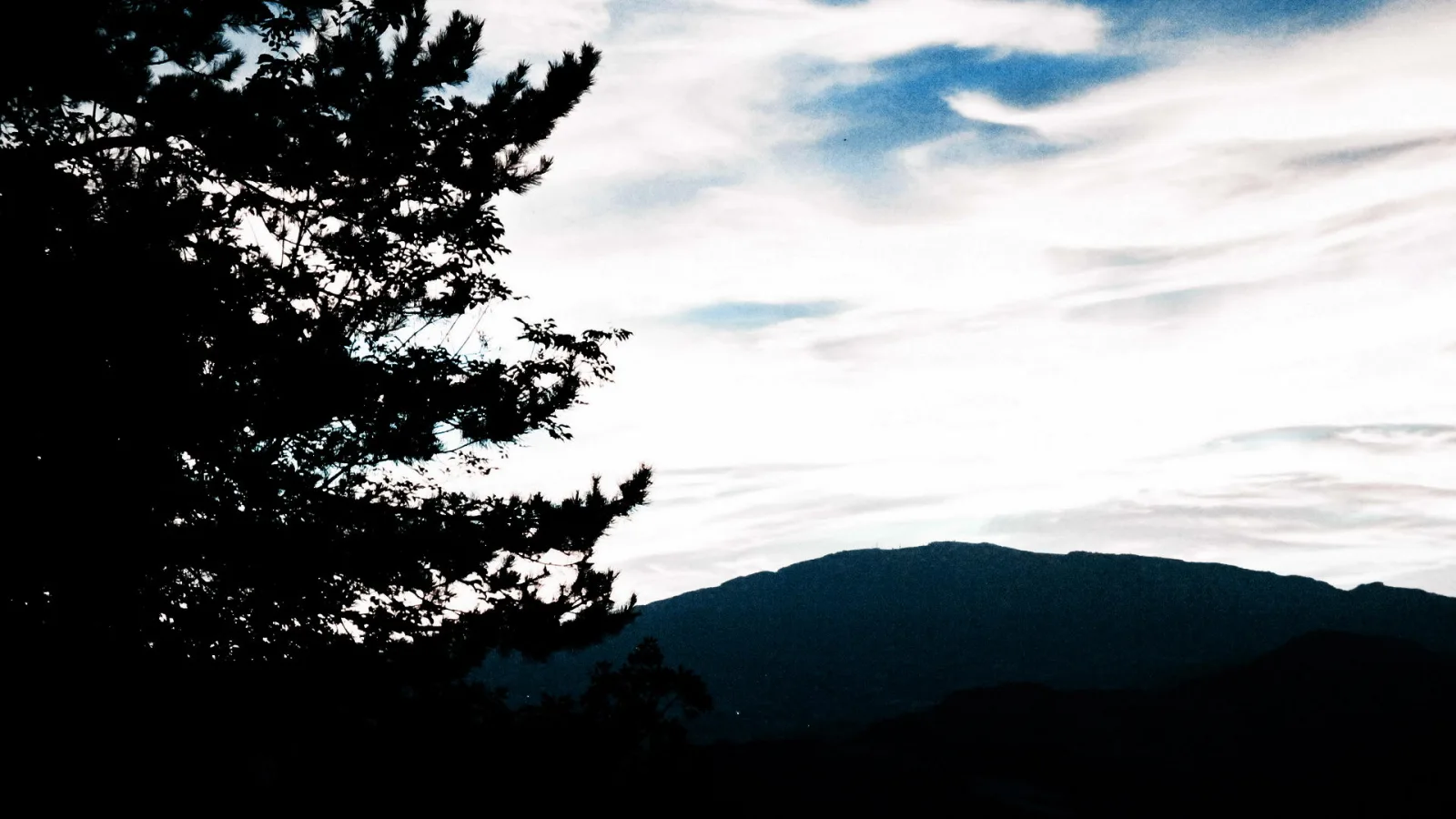 Dunkle Kiefer im Vordergrund links, dahinter ein Bergrücken unter einem hellen, streifigen Wolkenhimmel am Abend.