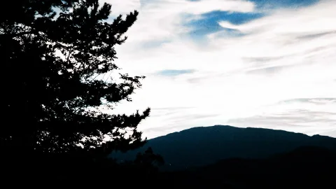 Dunkle Kiefer im Vordergrund links, dahinter ein Bergrücken unter einem hellen, streifigen Wolkenhimmel am Abend.