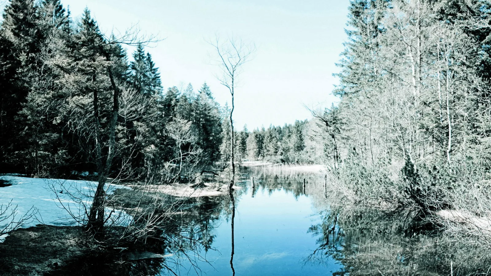 Ruhiger Waldsee mit blattlosen Bäumen und Nadelwald am Ufer, Schneereste am linken Ufer, blauer Himmel mit Spiegelung im Wasser.