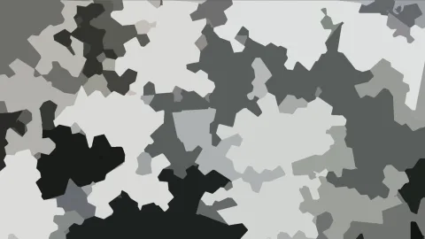 Abstraktes Muster aus unregelmäßigen grauen, schwarzen und weißen Flächen, die dicht ineinandergreifen.