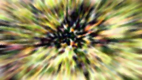 Unscharfer radialer Zoomeffekt mit grünen, gelben und dunklen Streifen, die von einem dunklen Zentrum nach außen laufen.