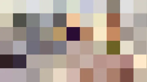 Pixelmosaik aus rund 66 Farbquadraten in Beige, Grau, Rosa und Dunkelviolett, oben heller, unten dunkler.
