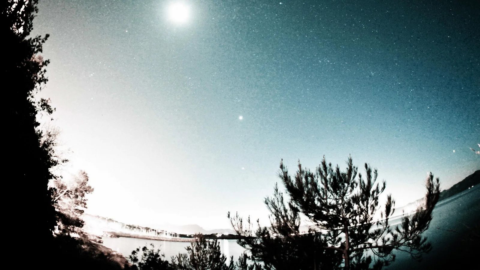 Nachtaufnahme mit dunklen Kiefernsilhouetten im Vordergrund, einem hellen Mond oben links und einem sternenübersäten blaugrünen Himmel. Im Hintergrund liegt eine Bucht mit Lichtern am Ufer.