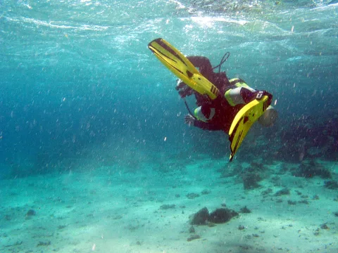 Ein Taucher mit gelben Schwimmflossen schwimmt kopfüber über einem sandigen Meeresboden im türkisfarbenen Wasser.
