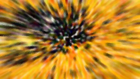 Abstrakte Komposition aus gelben und orangen Schlieren, die von einem dunklen, bunt gesprenkelten Zentrum radial nach außen strahlen.