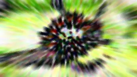 Abstrakte Komposition mit dunklem, sternförmigem Zentrum, umgeben von grünen, gelben und weißen radialen Schlieren.