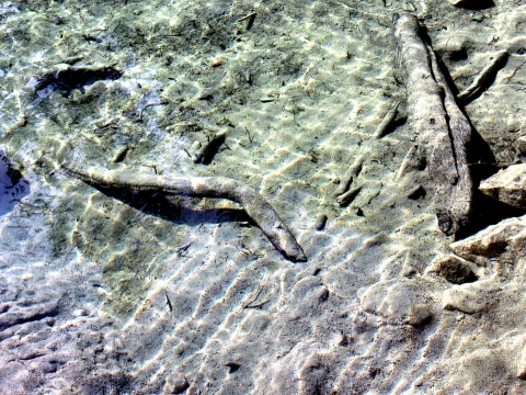 Helles, klares Wasser über sandigem Seeboden mit zwei hellen Ästen und Lichtreflexen auf dem Sand