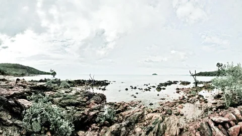 Felsige Küste mit rotbraunen Steinen, flachem Wasser und grünen Büschen, dahinter ein Meer unter bewölktem Himmel und eine kleine Insel am Horizont.