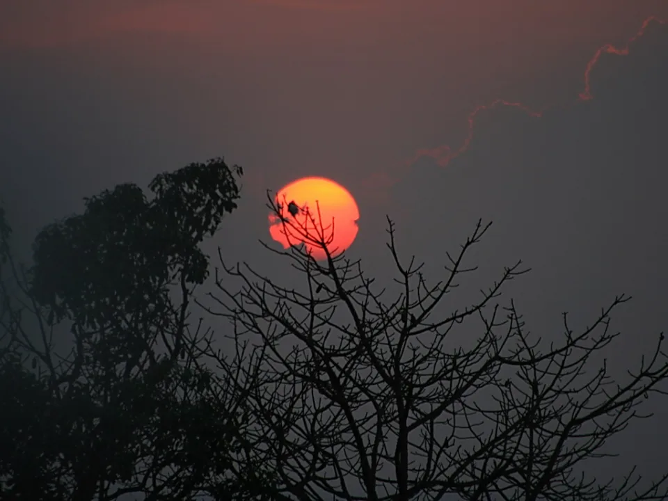 Rote Sonne, teilweise von kahlen Ästen verdeckt, vor einem dunstigen grauen Himmel mit dunklen Baumsilhouetten im Vordergrund.