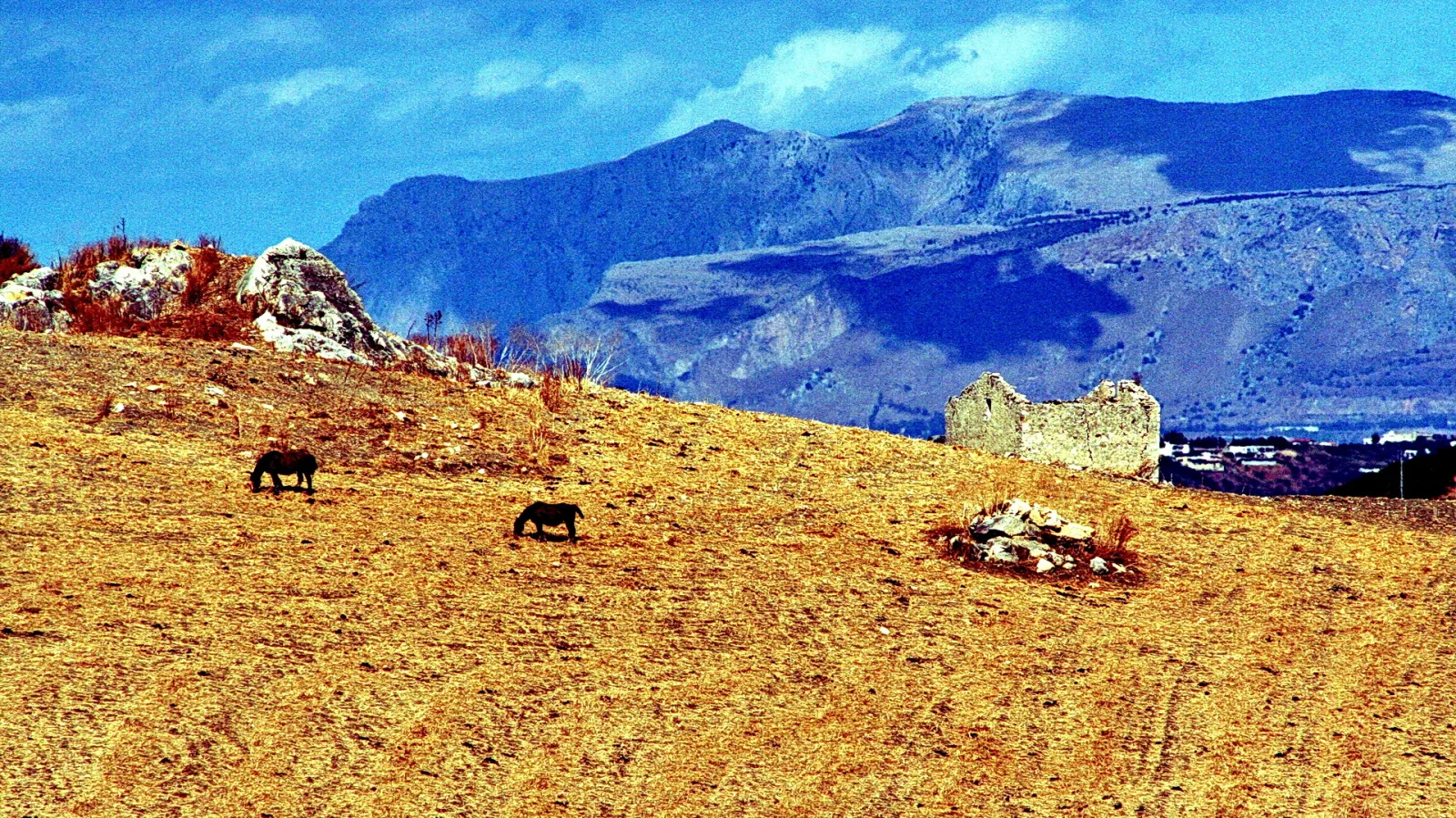 Zwei dunkle Pferde grasen auf trockener, goldgelber Wiese. Rechts steht eine verfallene Steinmauer vor einer Bergkette unter blauem Himmel.