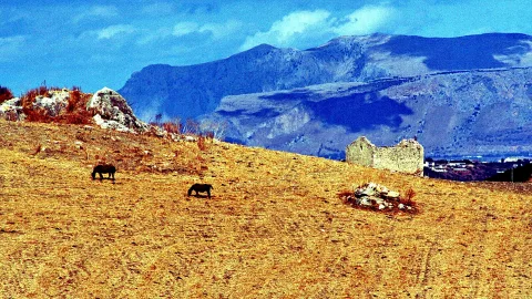 Zwei dunkle Pferde grasen auf trockener, goldgelber Wiese. Rechts steht eine verfallene Steinmauer vor einer Bergkette unter blauem Himmel.
