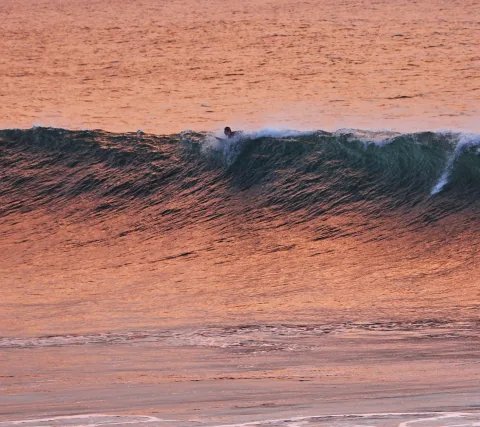 Ein Surfer liegt auf dem Brett nahe am Wellenkamm, im Vordergrund und Hintergrund glänzt das Wasser orange im Sonnenuntergang.