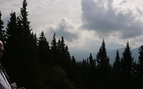 Dunkle Nadelbäume im Vordergrund, dahinter blaugraue Bergketten unter einem bewölkten Himmel, links am Rand ein Mensch im Profil.