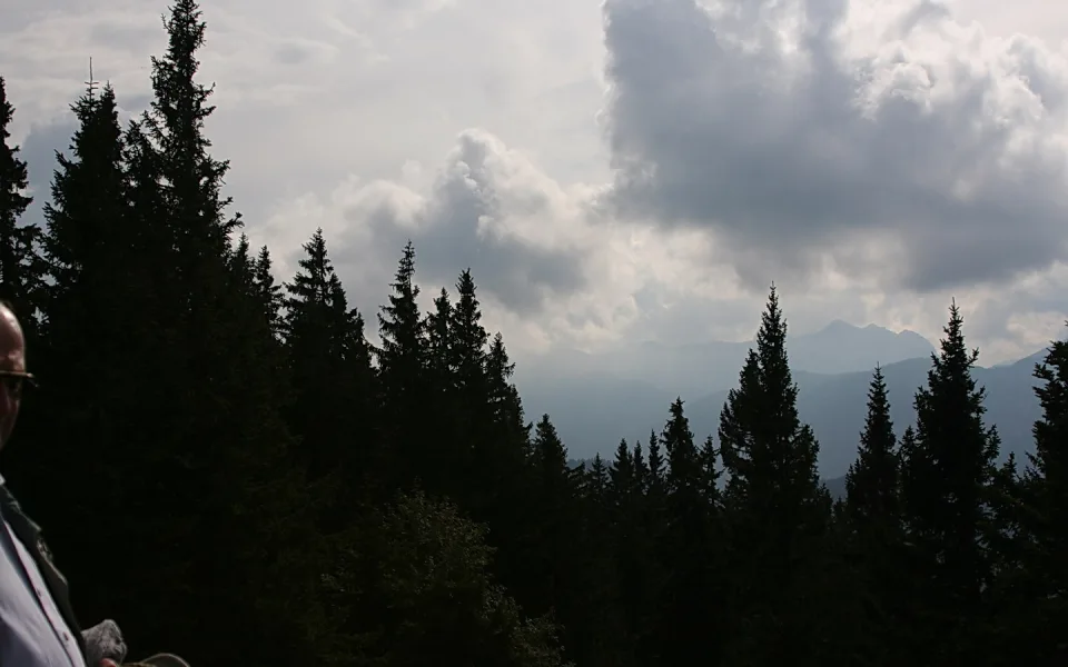 Dunkle Nadelbäume im Vordergrund, dahinter blaugraue Bergketten unter einem bewölkten Himmel, links am Rand ein Mensch im Profil.