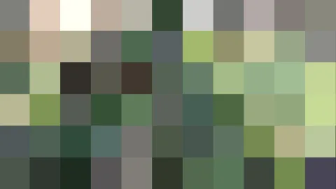 Abstraktes Mosaik aus quadratischen Farbfeldern in Grün-, Oliv- und Grautönen, durchsetzt mit wenigen hellen und dunklen Feldern.