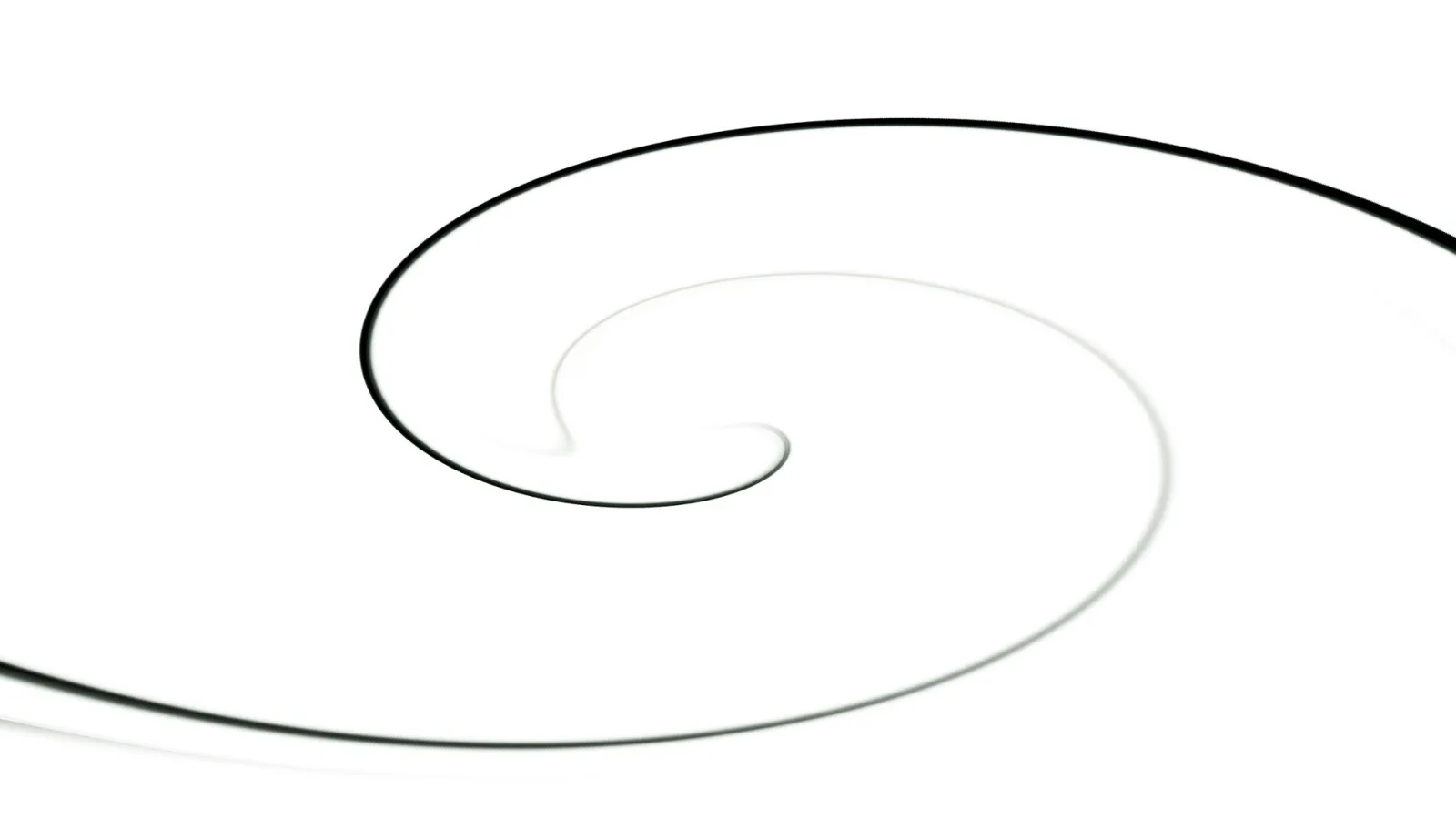 Eine schwarze, nach innen gewundene Spirale auf weißem Hintergrund, die sich von der unteren linken Ecke bis zur Mitte des Bildes zieht und in einem dünner werdenden Ende ausläuft.