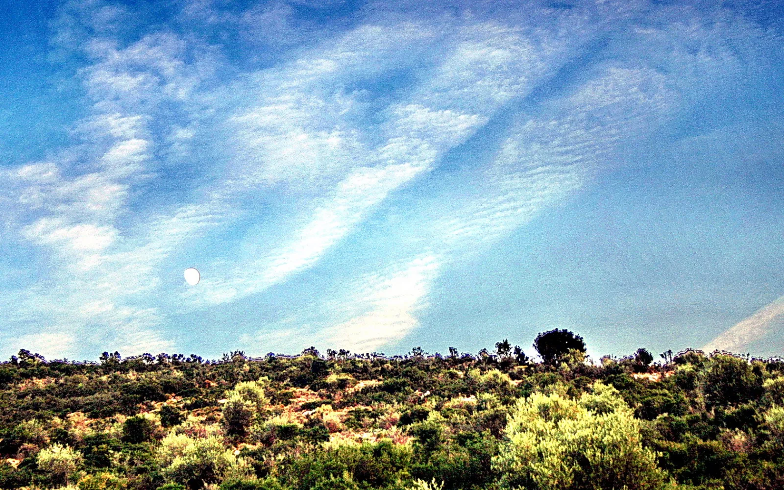 Blauer Himmel mit gestreiften Wolkenbändern, links ein heller Mond, darunter ein Hügelkamm mit grünen und braunen Büschen.