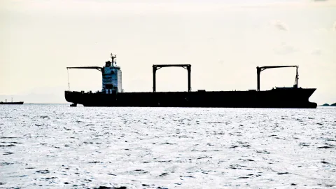 Silhouette eines großen Frachtschiffs mit Kränen und Brücke auf ruhigem, grauem Meer unter hellem Himmel.