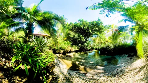 Flacher, klarer Wasserlauf zwischen Palmen und dichtem tropischem Grün, im Vordergrund Bromelien und heller Kiesstrand, links ein Dach zwischen den Pflanzen.