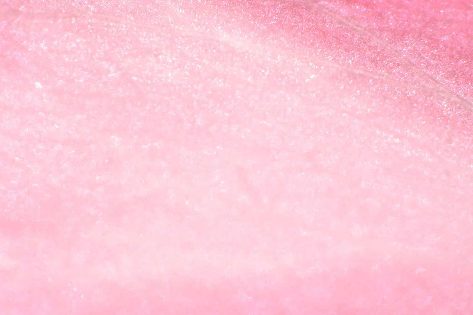 Nahaufnahme einer rosafarbenen Blüte mit feiner, glitzernder Oberflächenstruktur.