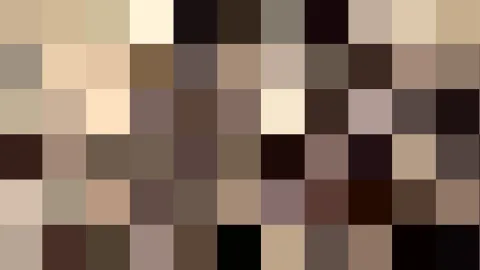 Mosaik aus quadratischen Pixelblöcken in Beige-, Braun- und Schwarztönen, ohne erkennbares Motiv.
