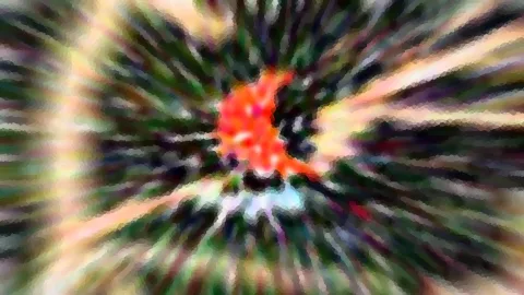 Abstraktes Bild mit radialem Zoomeffekt und mosaikartiger Struktur. Im Zentrum leuchtet ein orangefarbener Fleck, umgeben von Grün-, Weiß- und Dunkeltönen.