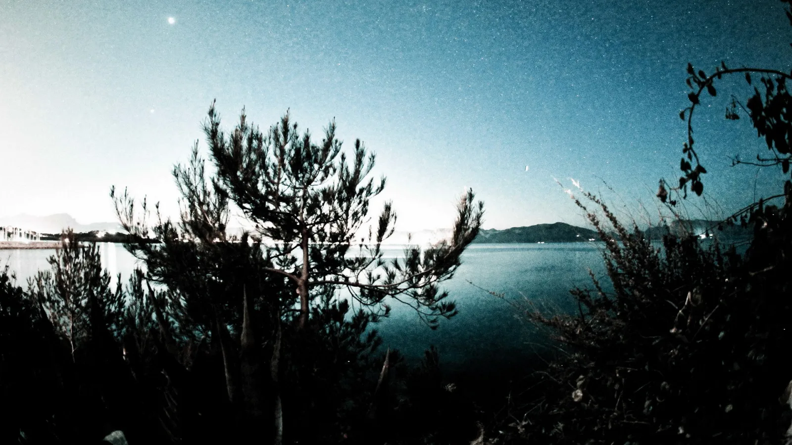 Dunkle Kiefernsilhouetten im Vordergrund vor einem ruhigen Meer, darüber ein blauer Nachthimmel mit Sternen und flachen Bergen am Horizont.