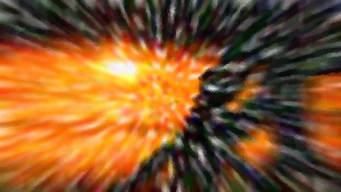 Abstrakte, unscharfe Zoomaufnahme: ein leuchtend oranges Zentrum strahlt radial nach außen, umgeben von dunklen grünen und schwarzen Schlieren.