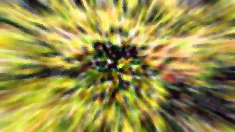 Abstraktes Bild mit radialem Zoom-Effekt in Gelb, Grün und Dunkelgrau. Farbstreifen laufen von einem dunklen Zentrum nach außen.
