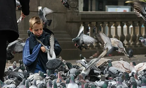 Ein blonder Junge in dunkler Jacke steht inmitten einer dichten Taubenschar, mehrere Tauben fliegen um ihn herum, im Hintergrund eine steinerne Balustrade.