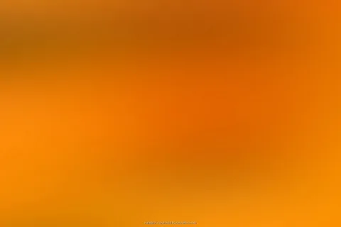 Unscharfer Verlauf in Orange, oben dunkler und unten heller, ohne erkennbare Motive.