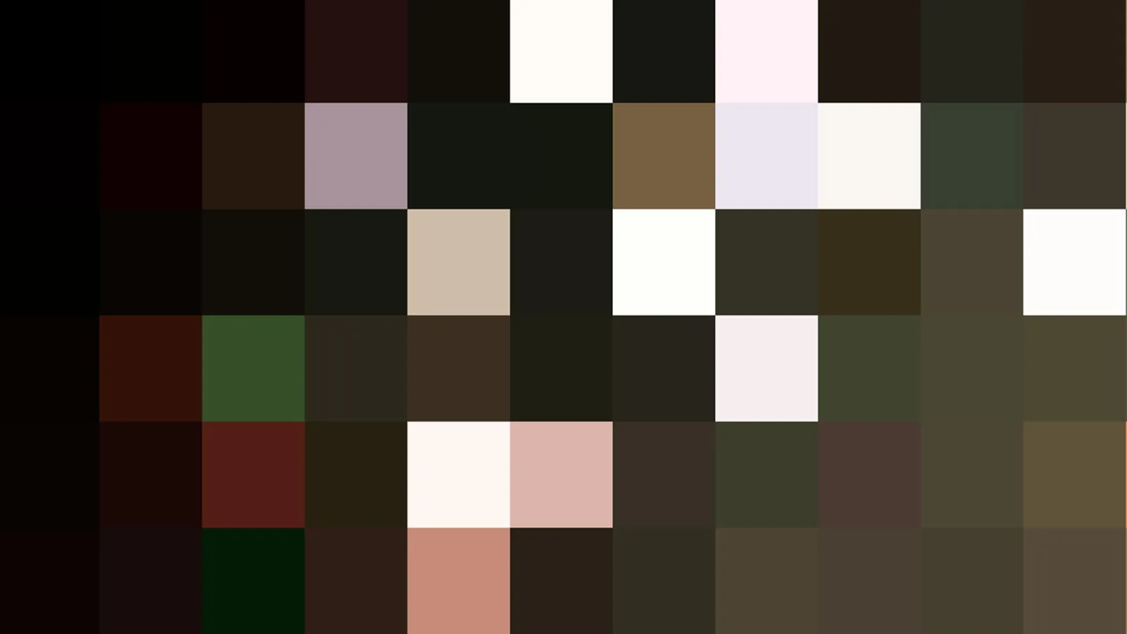 Rasterbild aus rechteckigen Farbfeldern in Schwarz, Braun, Olivgrün, Weiß und Rosa, angeordnet wie ein Mosaik.