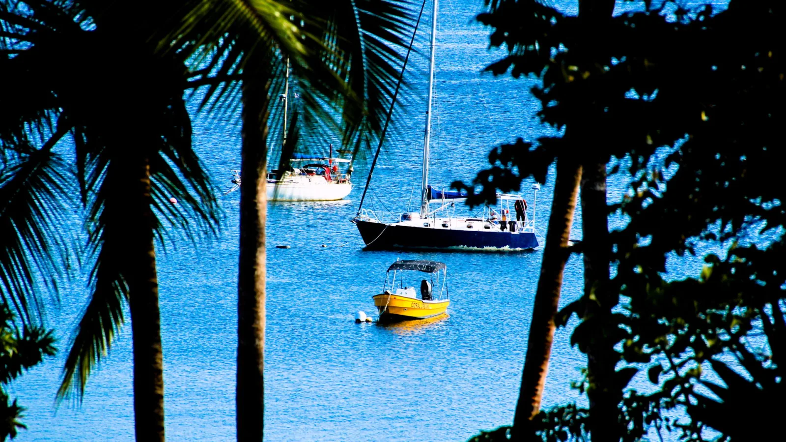 Zwei Segelboote und ein gelbes Motorboot liegen auf blauem Meer, eingerahmt von Palmenstämmen und dunklem Laub.