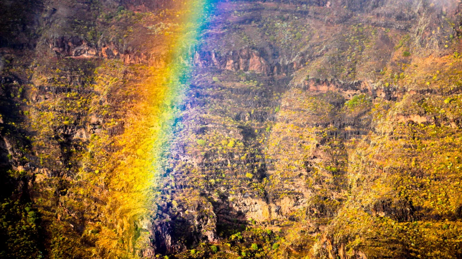 Ein Regenbogen zieht sich diagonal von oben nach unten über eine steile, mit Gestrüpp bewachsene Felswand in warmen Gelb- und Orangetönen.
