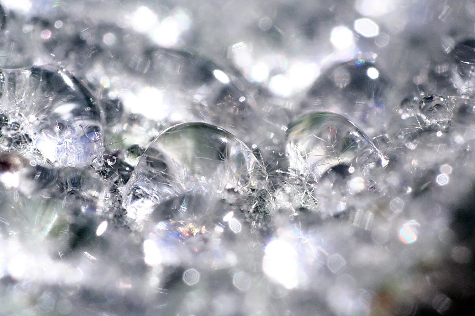 Makroaufnahme mit mehreren klaren Wassertropfen auf einer glitzernden, silbrig schimmernden Oberfläche, im Hintergrund unscharfe Lichtreflexe.