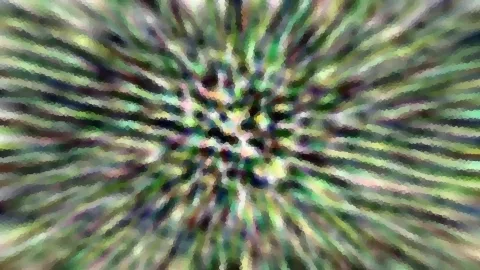 Abstrakte Komposition aus grünen, schwarzen und weißen Streifen, die radial von einem unscharfen Zentrum nach außen laufen und in pixelartige Felder zerfallen.