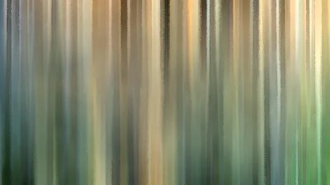 Abstrakte senkrechte Streifen in Grün, Beige und Grau, die an verwischte Baumstämme erinnern.
