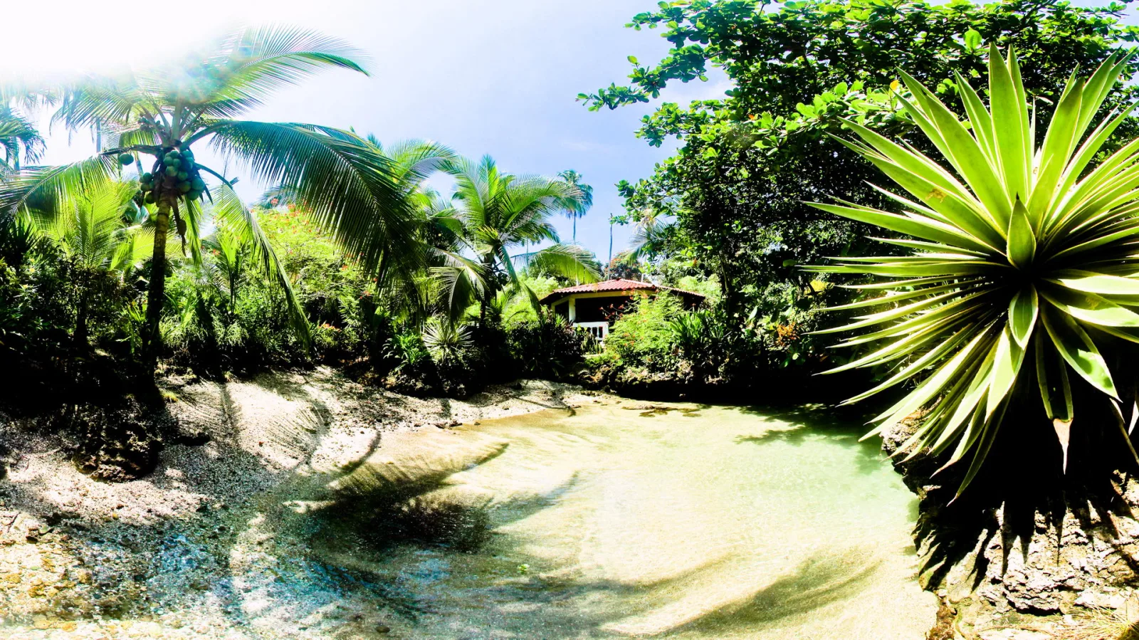 Flache Lagune im Vordergrund, links Palmen und Dschungelvegetation, rechts eine große Agave, im Hintergrund ein kleines Haus mit rotem Ziegeldach.