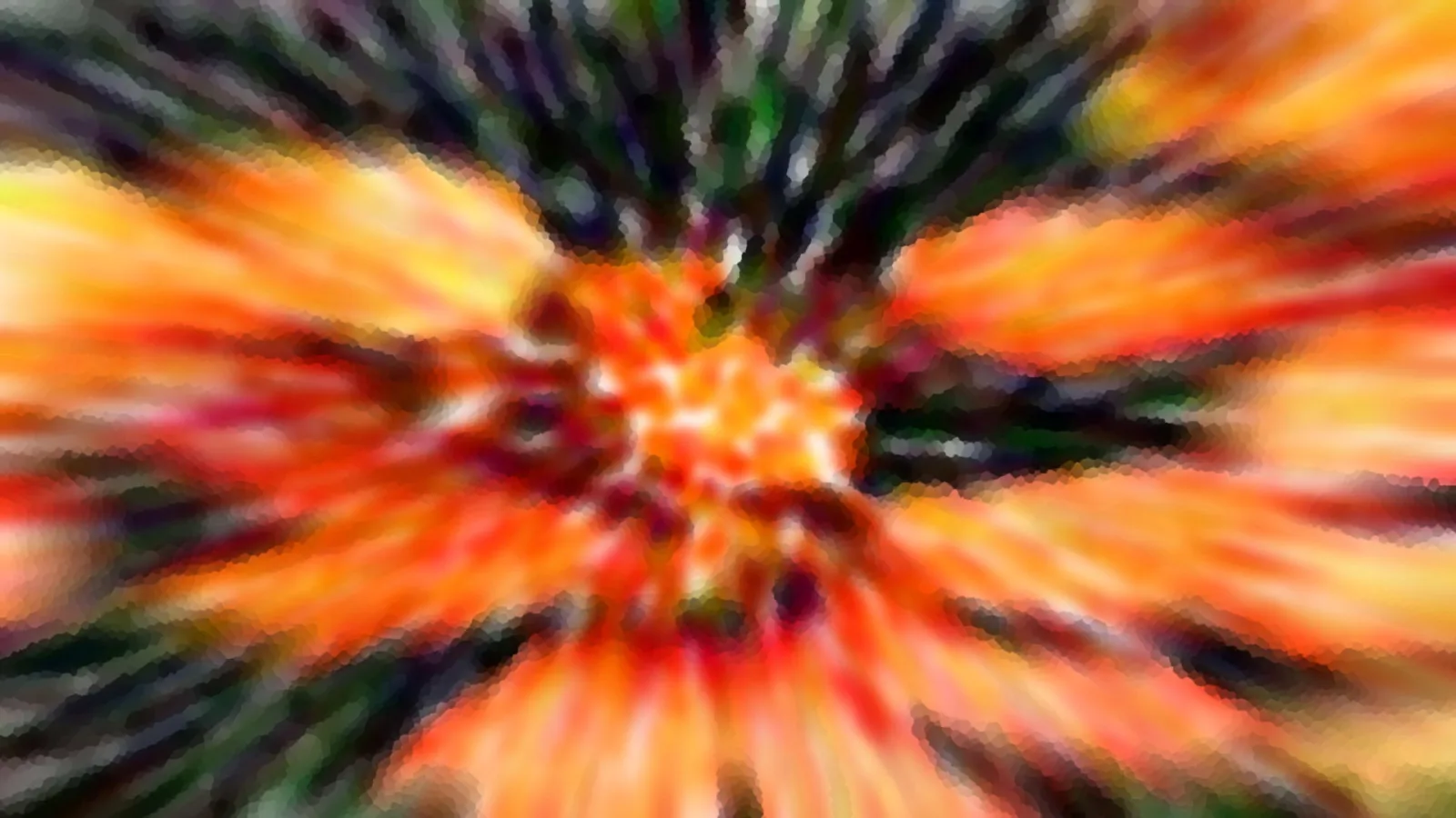 Abstrakte Aufnahme mit radialem Zoomeffekt: Orangefarbene und gelbe Blütenblätter strahlen aus einem hellen Zentrum, dazwischen dunkelgrüne und schwarze Schlieren.