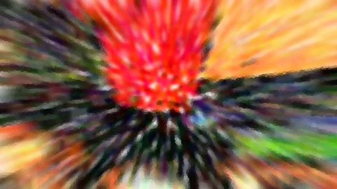 Abstrakte Aufnahme mit einem leuchtend roten, punktierten Zentrum, von dem nach außen bunte, verwischte Streifen in Orange, Grün und Violett ausstrahlen.