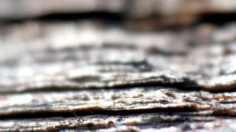 Nahaufnahme einer verwitterten Holzoberfläche mit horizontalen Rissen und Maserung, unscharf im Hintergrund, grau und braun.