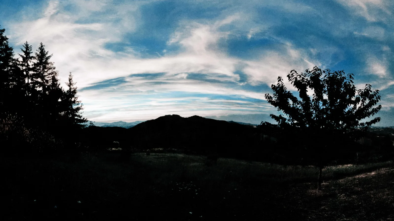 Panoramablick auf einen dunklen Hügel am Abend, links Nadelbäume, rechts ein Baum vor blauem Himmel mit Schleierwolken.
