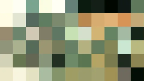 Raster aus farbigen Blöcken in Grün, Beige, Orange und Schwarz, die ein Mosaik bilden