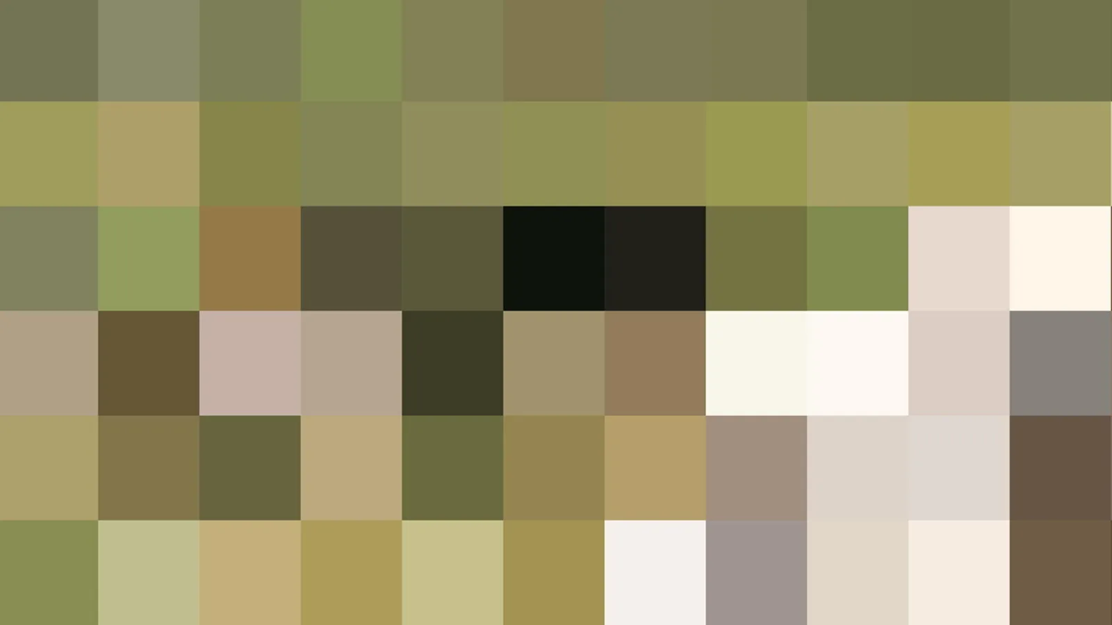 Mosaik aus quadratischen Farbfeldern in Oliv, Beige, Creme und Schwarz, in unregelmäßiger Anordnung.