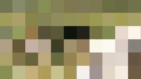 Mosaik aus quadratischen Farbfeldern in Oliv, Beige, Creme und Schwarz, in unregelmäßiger Anordnung.