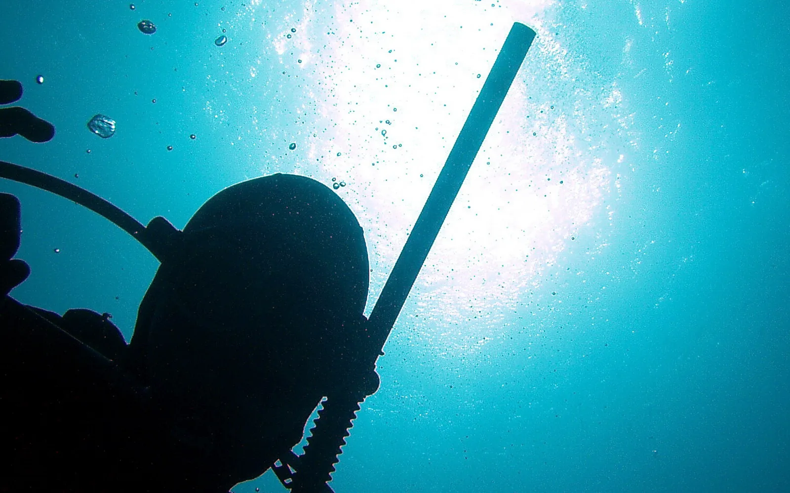 Silhouette eines Tauchers von unten gesehen, darüber die helle Wasseroberfläche mit aufsteigenden Luftblasen