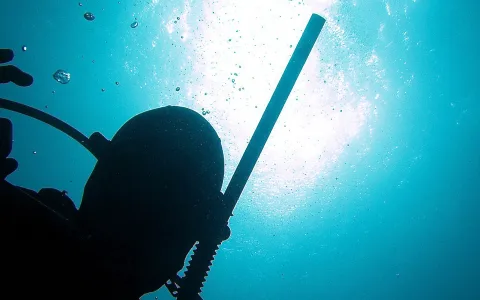 Silhouette eines Tauchers von unten gesehen, darüber die helle Wasseroberfläche mit aufsteigenden Luftblasen
