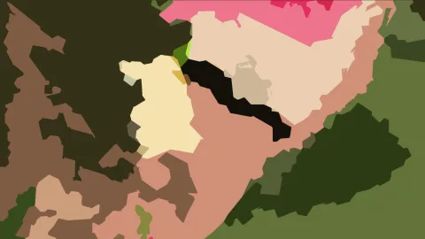 Abstrakte Komposition aus unregelmäßigen Flächen in Oliv, Dunkelgrün, Braun, Rosa, Creme und Schwarz